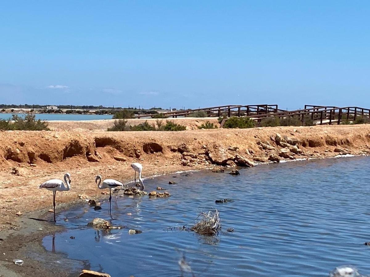 Bianca Beach 222 - Mil Palmeras, Vista Piscina Y Mar Torre de la Horadada Eksteriør bilde